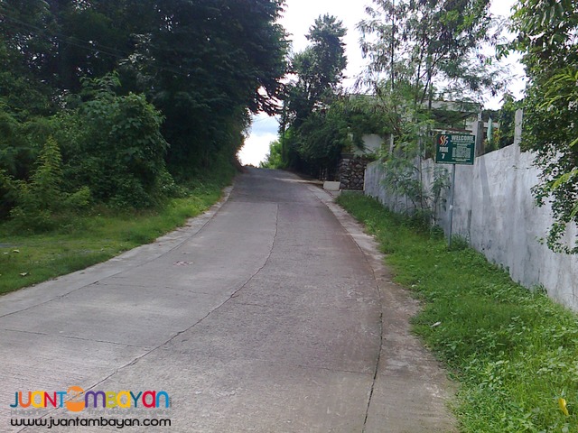 Agricultural /Residential Land in Barangay Gonzales, Tanauan, Batangas