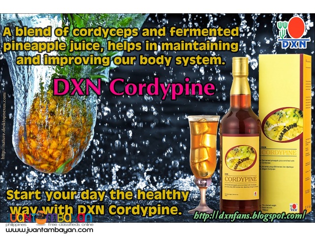 dxn cordypine; best for digestion 