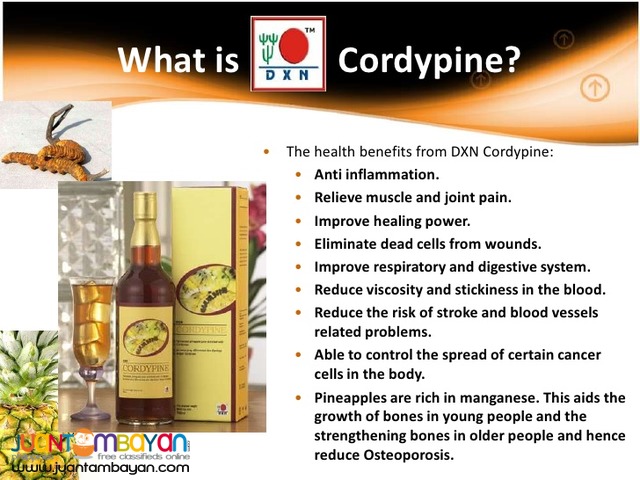 dxn cordypine; best for digestion 