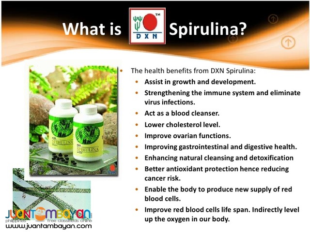 dxn spirulina; the super food best for malnourished