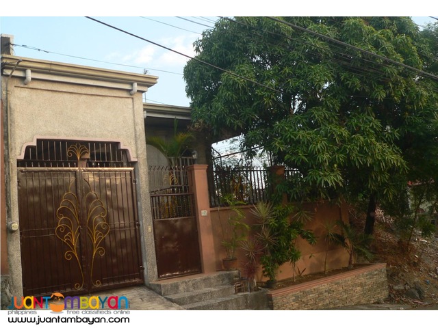 House & Lot For Sale  Palmera Homes 2 Taytay Rizal