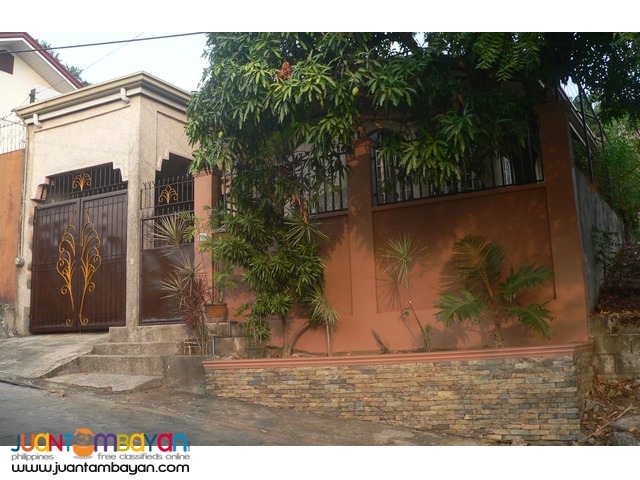 House & Lot For Sale  Palmera Homes 2 Taytay Rizal