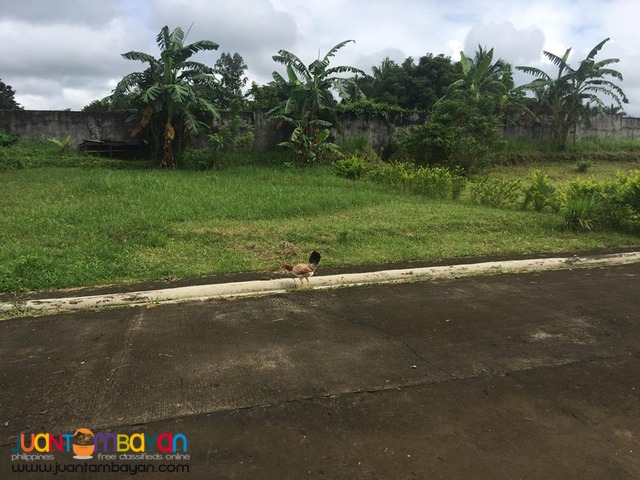 238 SQM Titled Lot 5 yrs to pay in Mendez Cavite Boundary in Tagaytay