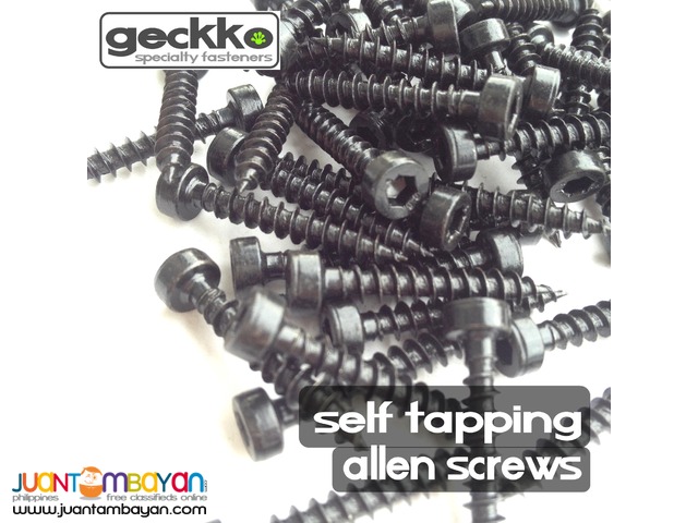 Self-tapping Allen Screws by Geckko Fasteners