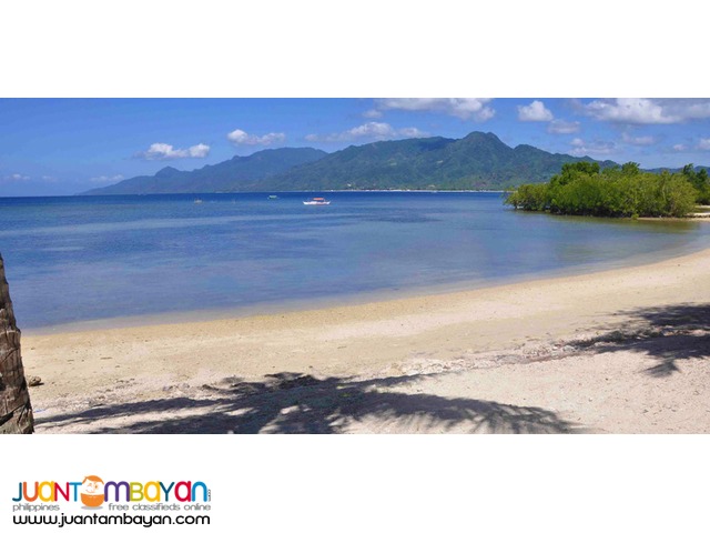  Beach Resort Lot For Sale! PORTO LAIYA, San Juan, Batangas