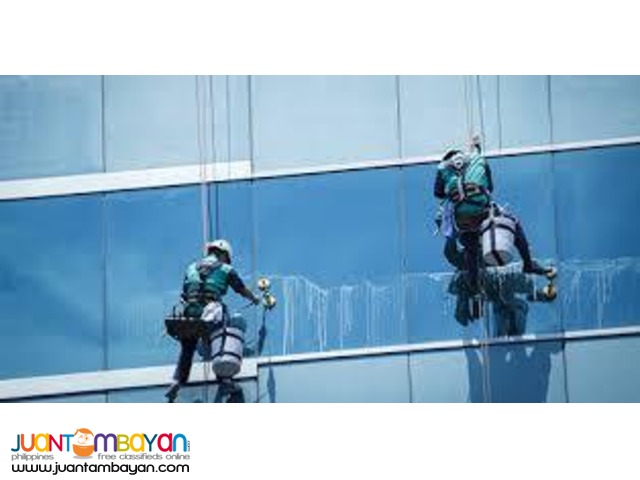 Professional Glass and Window Cleaning (Interior & Exterior)