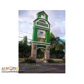 GREENWOODS EXECUTIVE VILLAGE Pasig LOT for sale