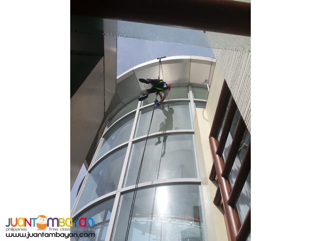 Professional Window Cleaning Services