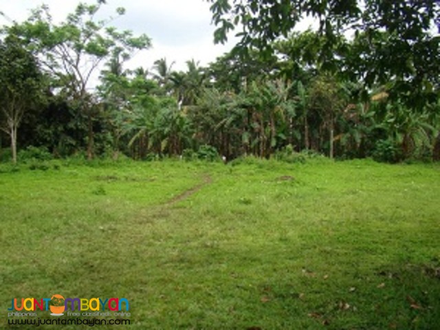 Land in San Pablo Laguna