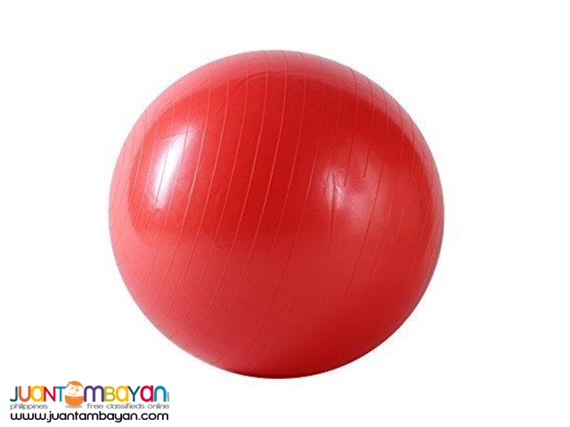 Gym Ball with pump