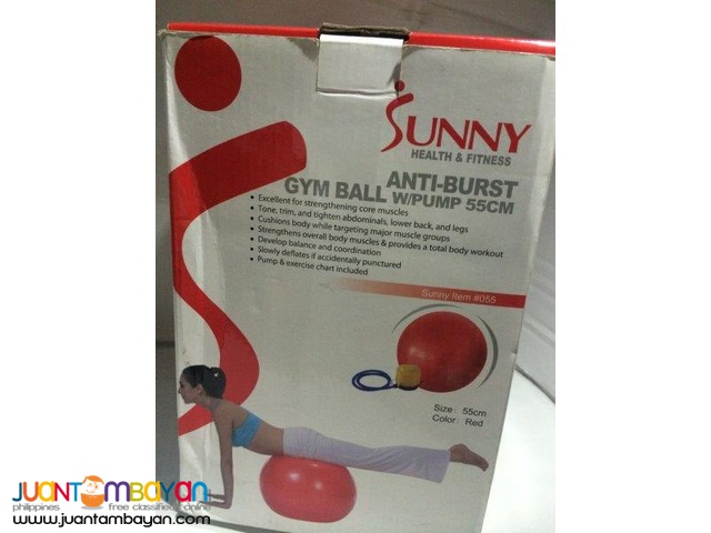 Gym Ball with pump