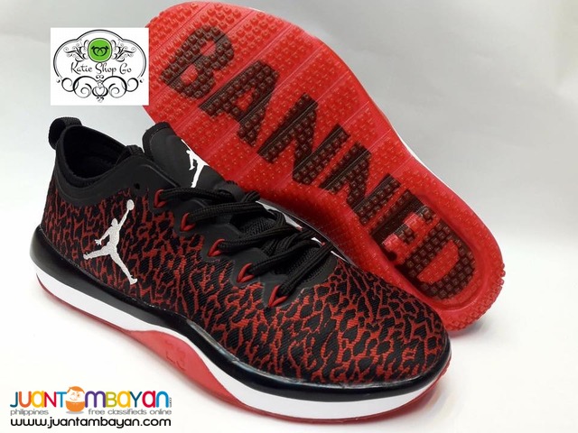 jordan trainer 1 high