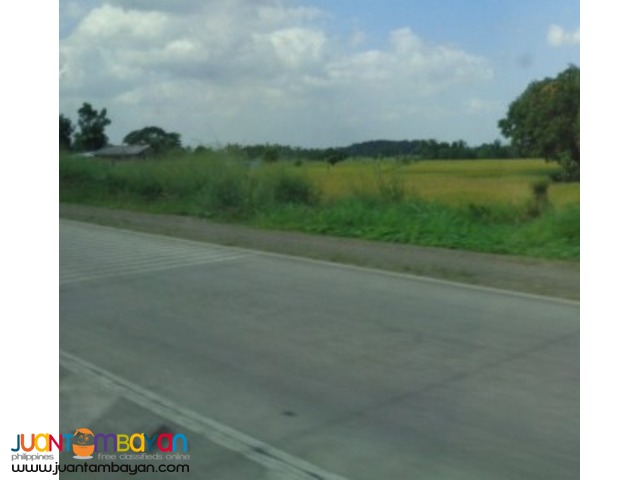 Commercial land in highway Calamba Laguna