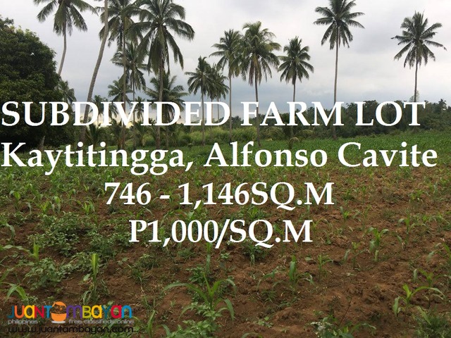 1,000/sqm Subdivided Farm Lot For Sale Installment Basis