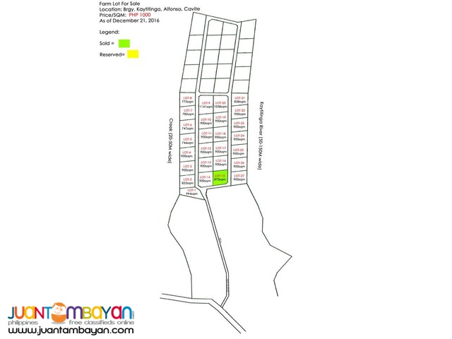 1,000/sqm Subdivided Farm Lot For Sale Installment Basis
