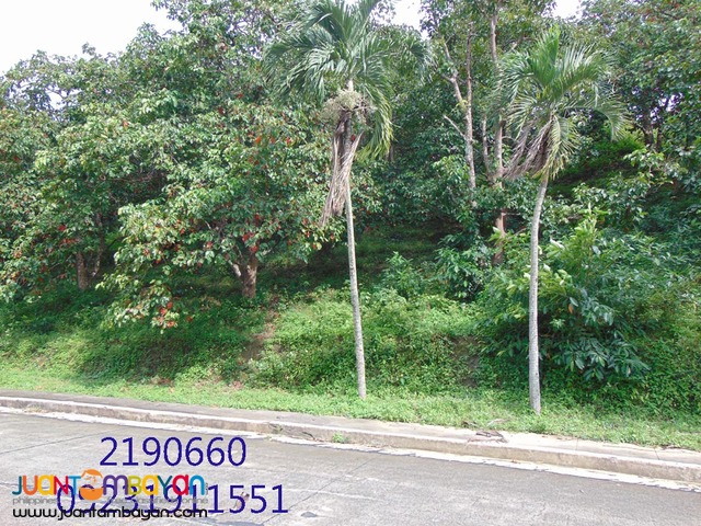 Palo Alto Baras Rizal Lots with amenities Residential Commercial