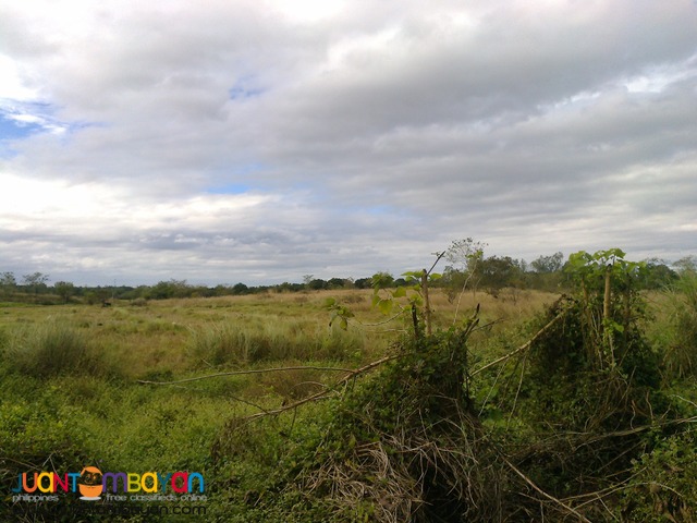 NUEVA ECIJA FARM LOT