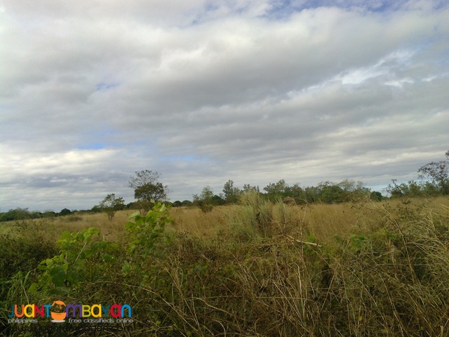 NUEVA ECIJA FARM LOT