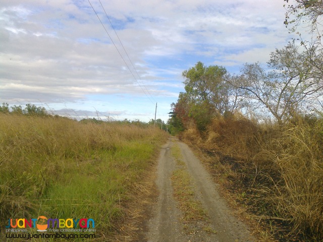 NUEVA ECIJA FARM LOT