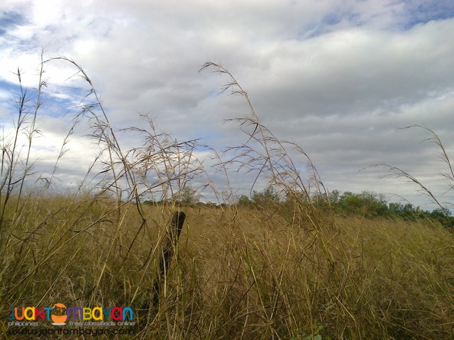 NUEVA ECIJA FARM LOT