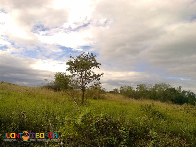 NUEVA ECIJA FARM LOT