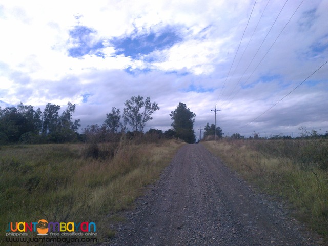 NUEVA ECIJA FARM LOT