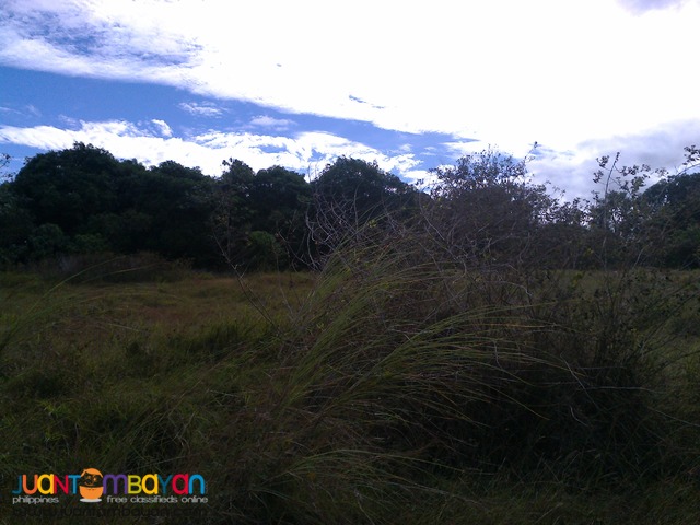 NUEVA ECIJA FARM LOT