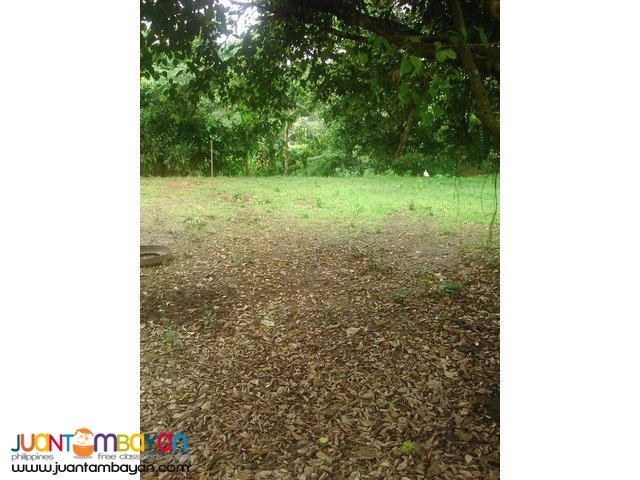 commercial lot in marcos hiway, sampaloc, tanay, rizal
