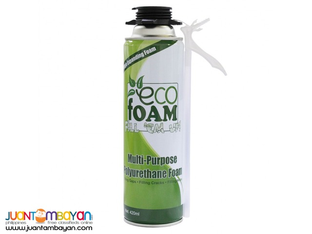 Ecofoam Fill 'Em Up Polyurethane Foam Insulation Dual Type 420mL