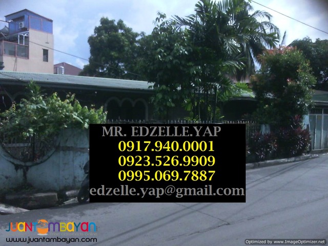 Lot for Sale in Quezon City