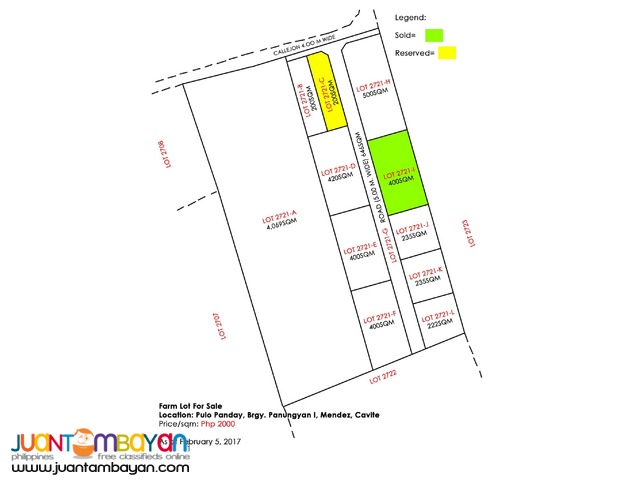 200 SQM Subdivided Farm Lot in Mendez