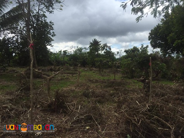 200 SQM Subdivided Farm Lot in Mendez