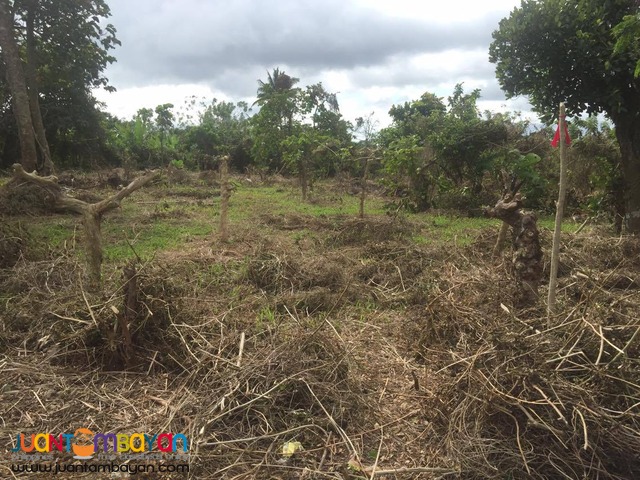 200 SQM Subdivided Farm Lot in Mendez