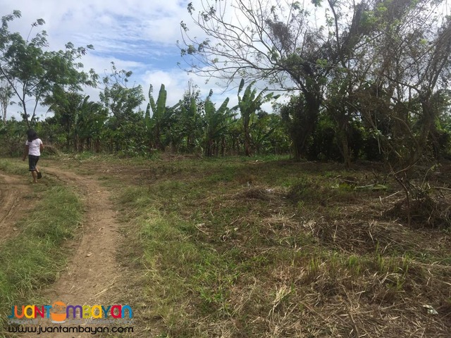 200 SQM Subdivided Farm Lot in Mendez