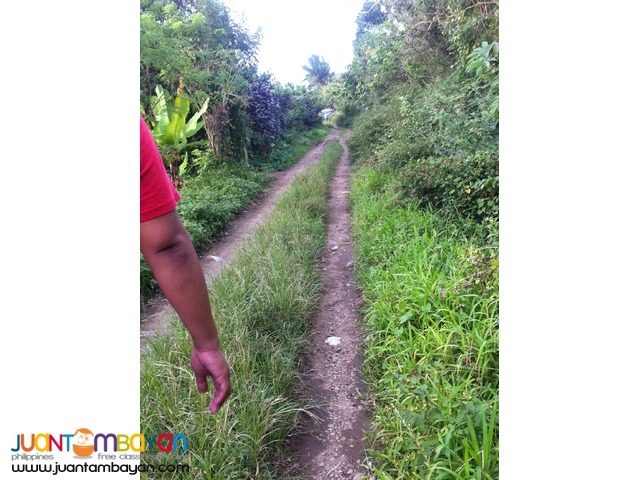 200 SQM Subdivided Farm Lot in Mendez