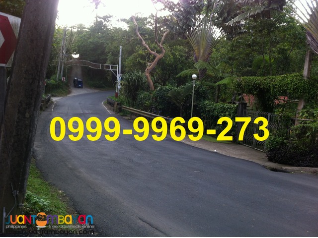 200 SQM Subdivided Farm Lot in Mendez