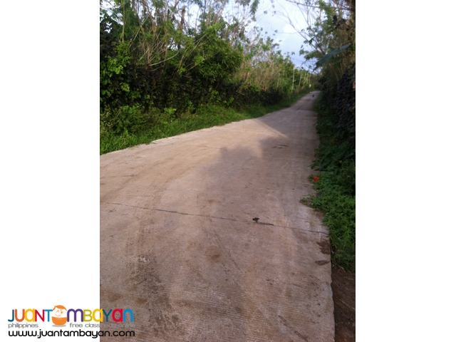 200 SQM Subdivided Farm Lot in Mendez