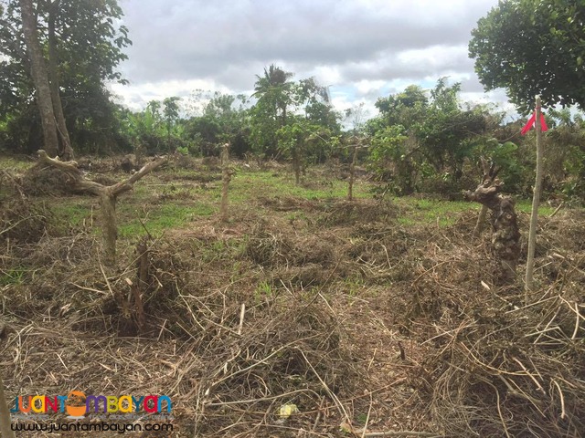 200 SQM Subdivided Farm Lot in Mendez