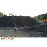 Steam Coal for Power Plant
