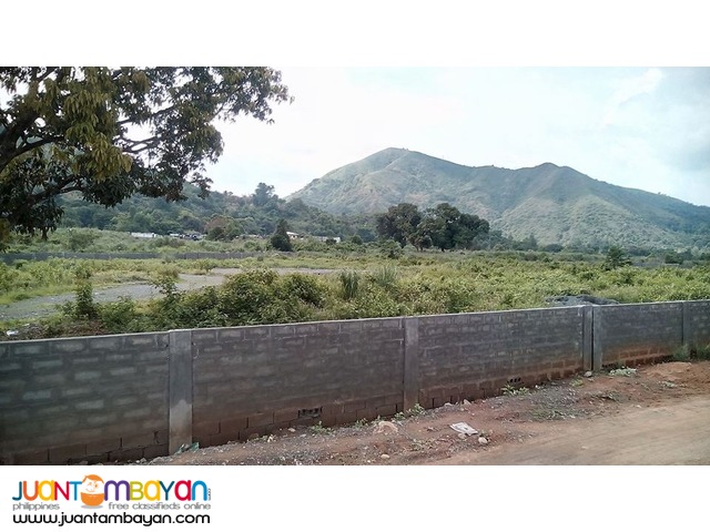 Lot for sale at Sta. Clarita Homes