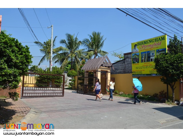 birmingham springfiled general ricarte cainta thru PAG IBIG