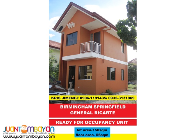 birmingham springfiled general ricarte cainta thru PAG IBIG