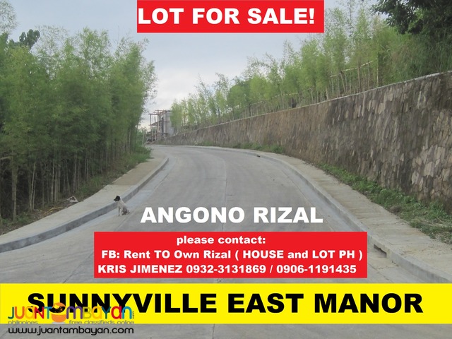 ANGONO RIZAL RESIDENTIAL LOT at SUNNYVILLE EAST MANOR