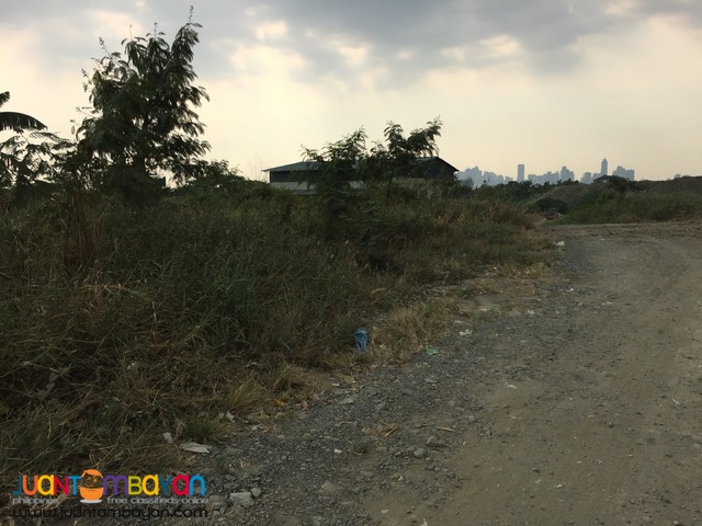 10 has Taguig industrial lot near C6 for sale