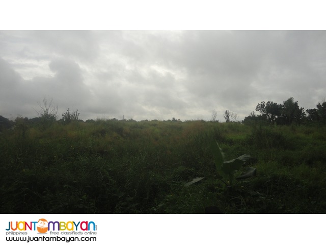 1.8 and 4.6-hectare land lot property Roman Highway in Abucay Bataan