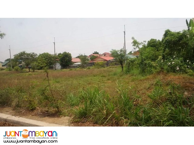 Residential Lot for Sale in Cainta Vista Verde Country Homes