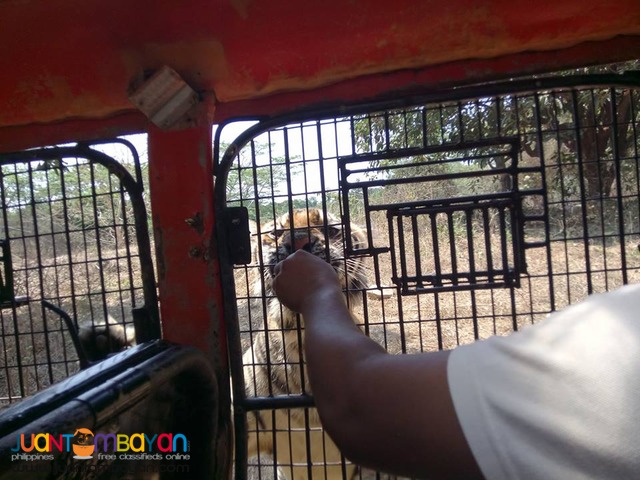 Subic Bay Day Tour Package for as low as P2,136 per person