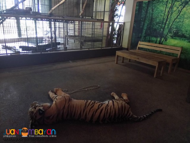 Subic Bay Day Tour Package for as low as P2,136 per person