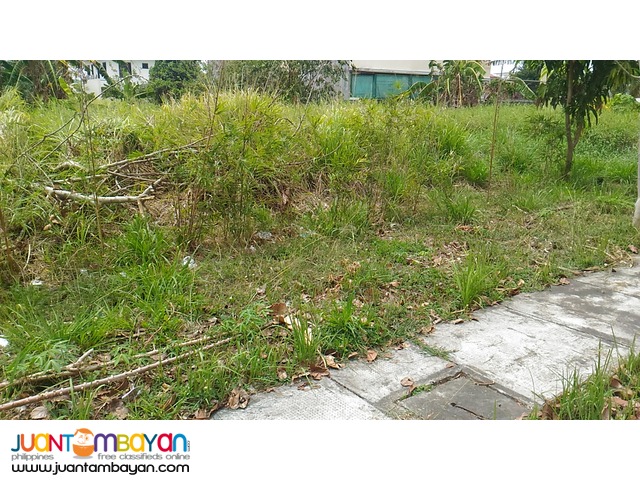 Lot for Sale at Sta Rosa City Laguna Villa Segovia Subdivision