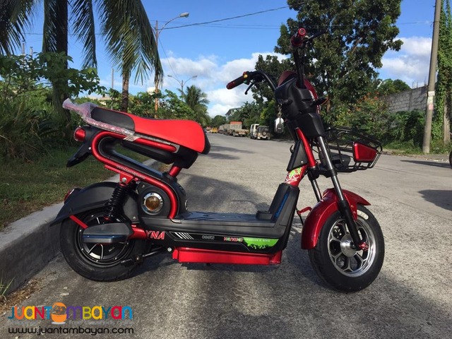 Yna Electric Bike